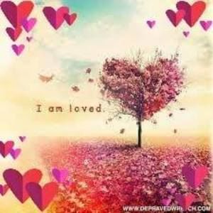 Meet your Posher, Luz